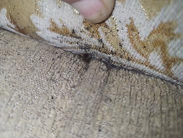 Химчистка мебели: Дезинфекция, дезинсекция, | Клопы, Блохи, Тараканы, | Транспорт, Офисы, Квартиры — 6