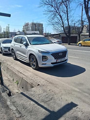 купить зерно: Продаю | Баран (самец) — 2