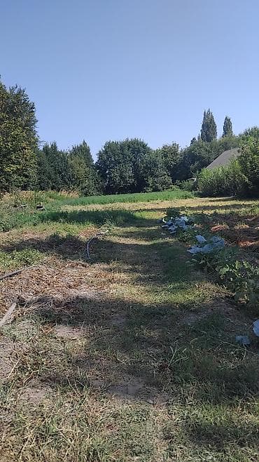 участок в покровке: 18 соток, Для сельского хозяйства — 1