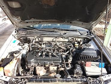Nissan Almera: 2000 г., 1.8 л, Механика, Бензин, Седан