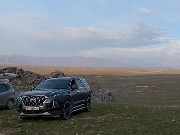 Hyundai Palisade: 2019 г., 2.2 л, Автомат, Бензин, Кроссовер — 4