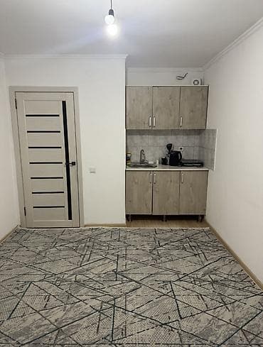 Батирлер: 1 бөлмө, 18 м², Малосемейка, 1 кабат, Косметикалык ремонт — 2