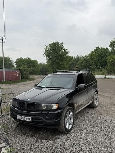 BMW X5: 2003 г., 4.4 л, Автомат, Бензин, Кроссовер