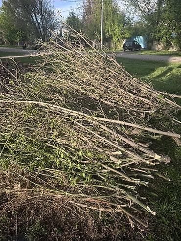 кукуруза варка: Дрова Самовывоз — 2