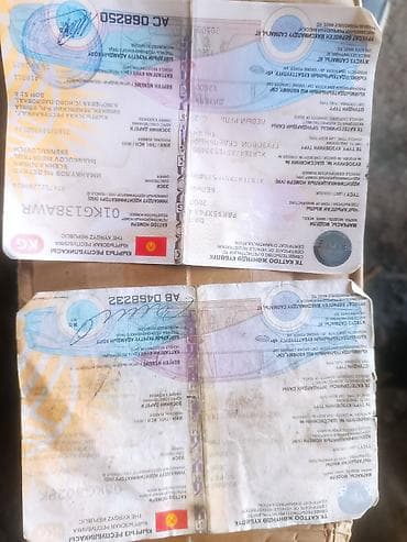 кабина на ман: Тягач, DAF, 2008 г. — 7