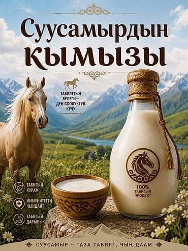 кон: Кымыз «Суусамыр» 100% таза - 100% натуральный продукт из кобыльего — 1
