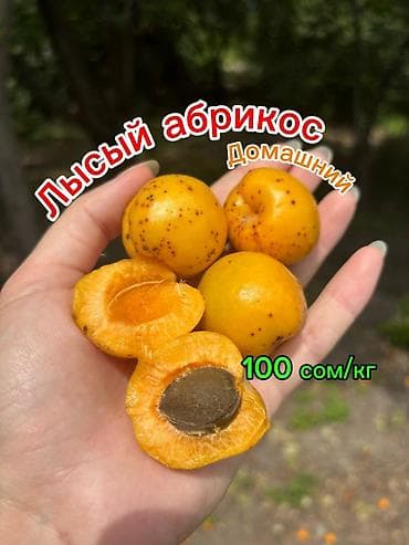 Ягоды: Абрикосы В розницу — 1