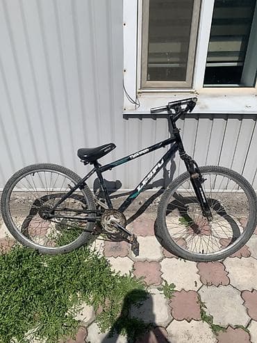 Спорт и хобби: Горный велосипед, Lespo, Сталь — 1