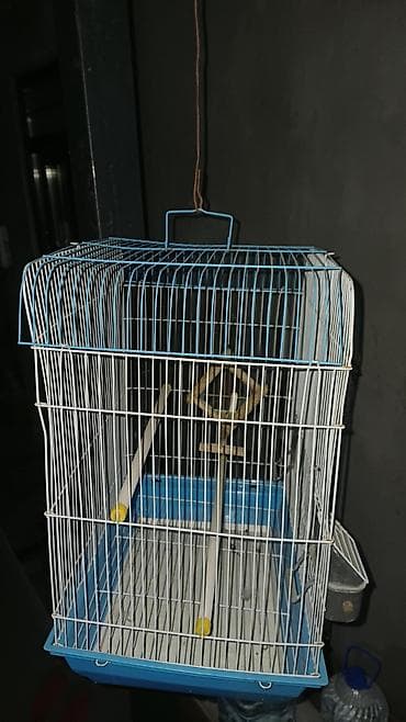 машинка для животных: Клетка для мелких и средних декоративных птиц - Прямоугольная — 2