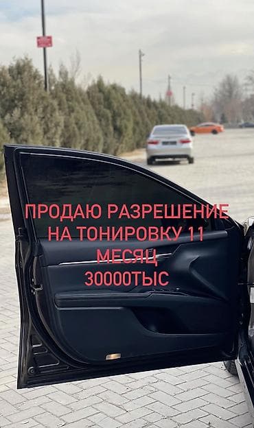 Разрешение на тонировку автомобиля на 11 месяцев. - Тип услуги — 1