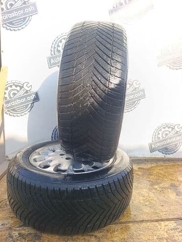 Шины 215 / 55 / R 16, Всесезонная, Б/у, Пара, Легковые, Германия, Goodride