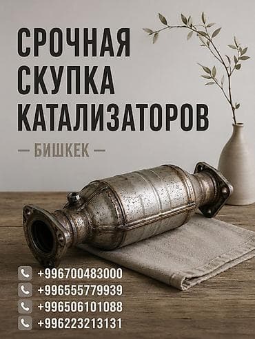 premium development: Катализатор сатып алабыз, эн кымбат баада катализатор Куплю — 1