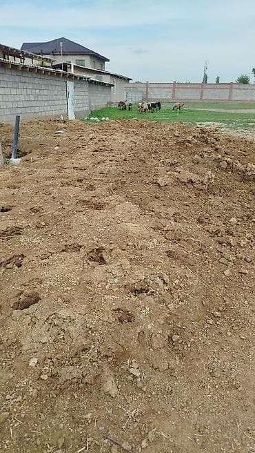 доска школьная для дома: Перегной/навоз для огорода выйдет примерно 1.5 2телешка Навоз — 2