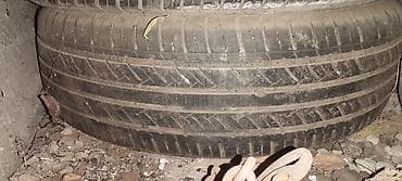 maxxis 980: Шины R 16, Лето, Комплект, Внедорожные (АТ/МТ), DUNLOP — 2