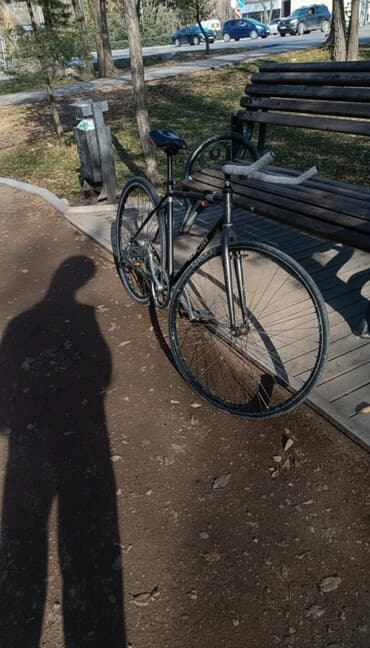 очень нужны: Шоссейный велосипед, Alton, Рама M (156 - 178 см), Б/у — 1