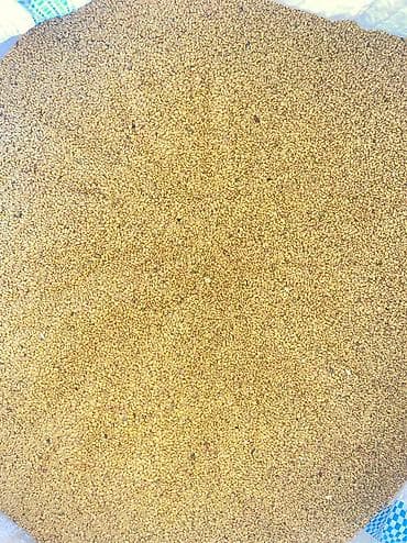 Бакча эмереги: Семена клевера. Беде урук сатылат. Баасы: кг320 сомдон Пектустан — 2