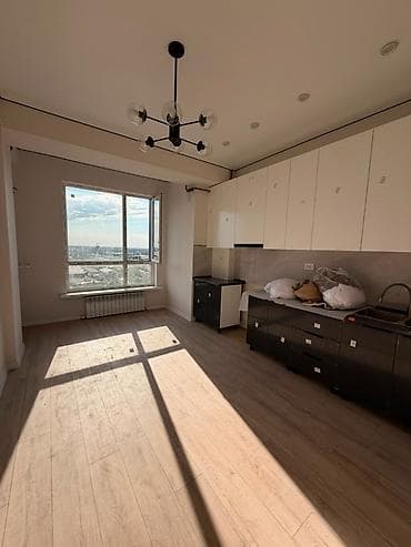 Недвижимость: 1 комната, 43 м², Пишпек Элитка, 13 этаж — 3