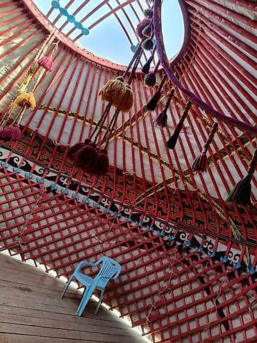 Юрта кыргыз Боз уй сатылат 6 канат 85 баш абалы жакшы баасы 250 000мин — 3