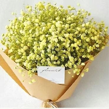 дон строй вакансии: Требуется разнорабочий в подсобное хозяйство с проживанием. Корумду — 2