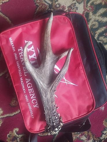 Вазалар: Олений рог с естественной текстурой и разветвленной формой, имеет — 2