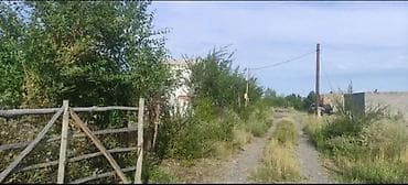 яблоневый сад: 10 соток, Для сельского хозяйства, Красная книга — 6