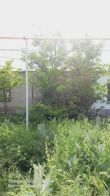 дома в сокулуке: Продаётся дом барачного типа в Новопокровке Отличный вариант как для — 7