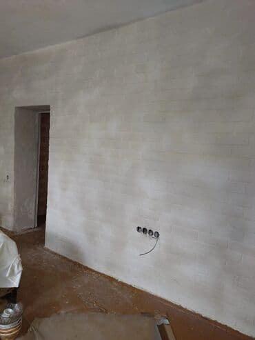 Дизайн, проектирование: Покраска наружных стен, На водной основе, Больше 6 лет опыта — 16