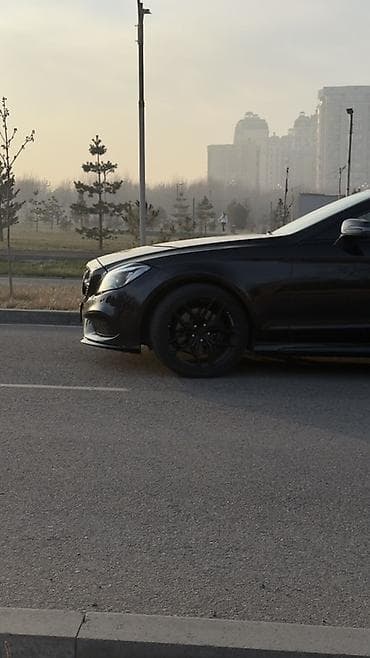 рессора купить бу: Mercedes-Benz CLS-Class: 2016 г., 3 л, Автомат, Бензин, Купе — 7