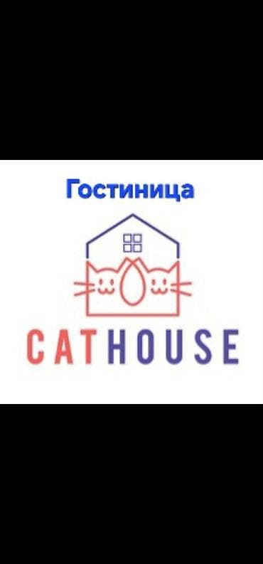 Уезжаете? Не с кем оставить кошку?
ОБРАЩАЙТЕСЬ!