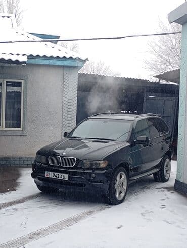 BMW X5: 2003 г., 4.4 л, Автомат, Бензин, Кроссовер
