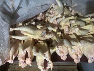 меняю на кур: Курица  — 2