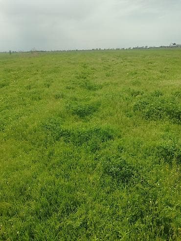 земельный участок продажа: 230 соток, Для сельского хозяйства — 1