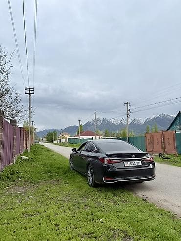 Недвижимость: 36 соток, Для строительства — 4