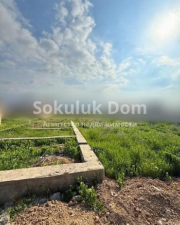 сокулуе: 5 соток — 2