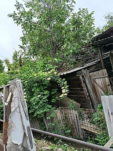 уборка сада: Хотите чтобы был ваш участок ухоженным? Уборка участков в Бишкеке — 3