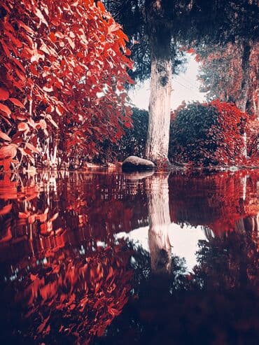 Мне 23 Ищу работу подходить любое профессия быстро обучаюсь