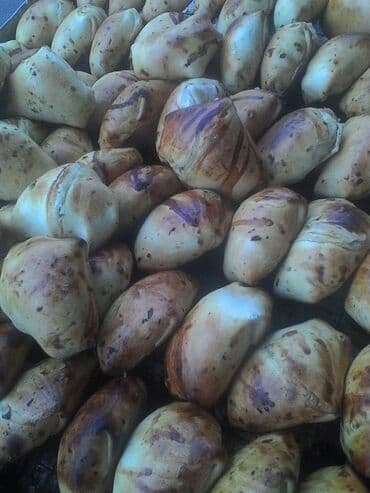 работа в кафе с ежедневной оплатой: Повар Самсышник. С опытом — 1