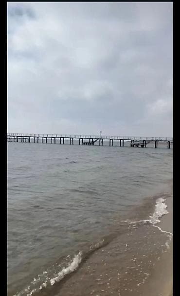 Земельные участки: 10 соток, Для бизнеса, Красная книга, Договор купли-продажи — 5