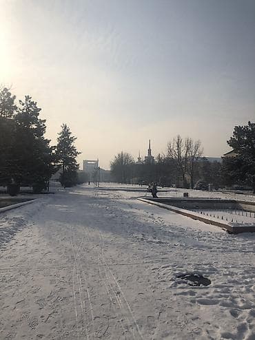 Охрана, безопасность: Вакансия: торговый агент (сегмент — продукты питания) писать на ватсап — 1