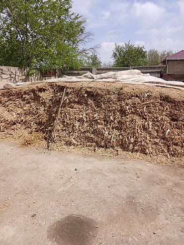 соль кормовая: Кукурузный силос - Высококачественный силос из кукурузы, измельчённый — 1