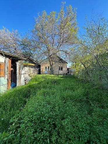 Дома: Дом с участком и садом - Кирпичный одноэтажный дом с высокой крышей — 2
