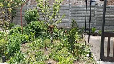 село виноградное: 🏡 🏡 Продаётся уютная дача в селе Таш-Мойнок (Победа) Продаётся — 8