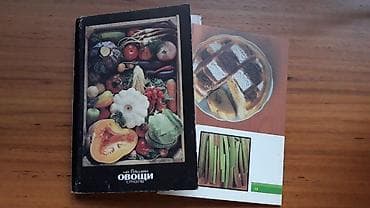 solutions pre intermediate workbook: ВИНТАЖ; * овощи на вашем столе * хорошее состояние) материал: картон — 2