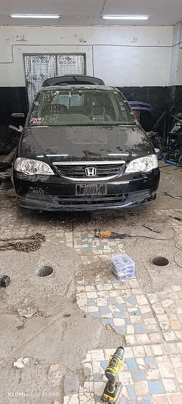 покраска авто: Крыло Заднее левое — 10