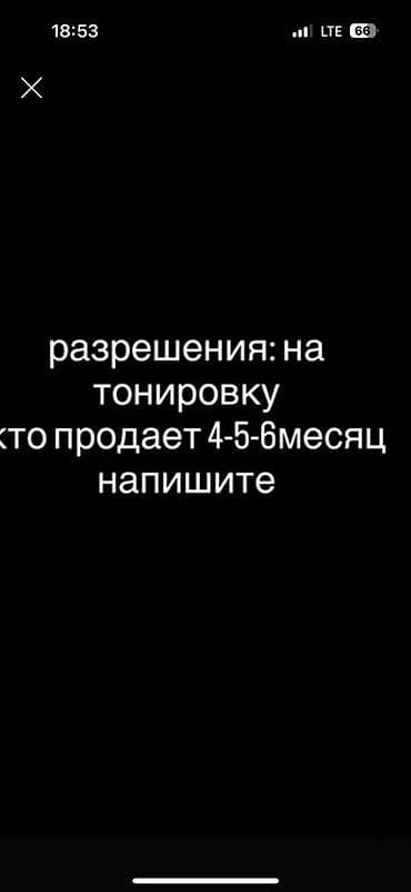 фото на визу: Услуга: оформление разрешения на тонировку автомобиля. - Тип услуги — 1