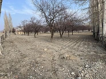 участок в беловодском: 24 соток, Для строительства, Красная книга — 2