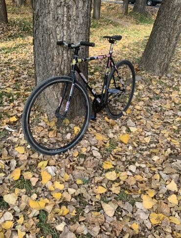 fixed gear купить бу: ТОЛЬКО ПРОДАЖА Фикс-байк (fixed gear) на стальной раме с прямыми — 6