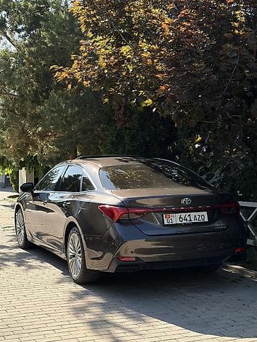 фит подушка: Toyota Avalon: 2018 г., 2.5 л, Гибрид — 4