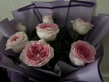 Букет из роз пудрово-розового оттенка в стильной упаковке. - Состав