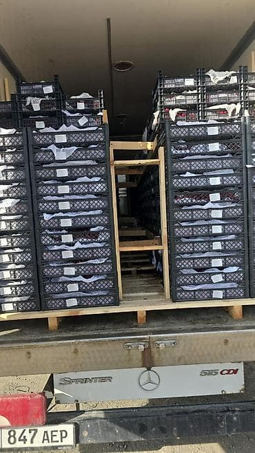 сидении на спринтер: Рефрижераторный фургон Mercedes‑Benz Sprinter - Тип: изотермический — 5
